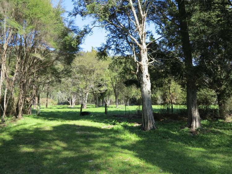 512 Hamama Road Takaka_6