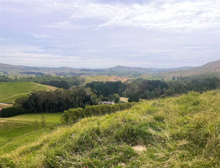 2580 Pourerere Road Central Hawkes Bay Coastal_40