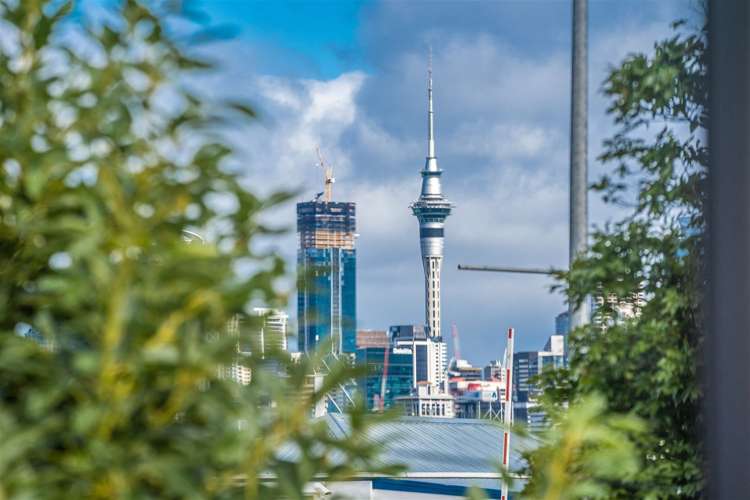 1/2a Spring Street Devonport_11