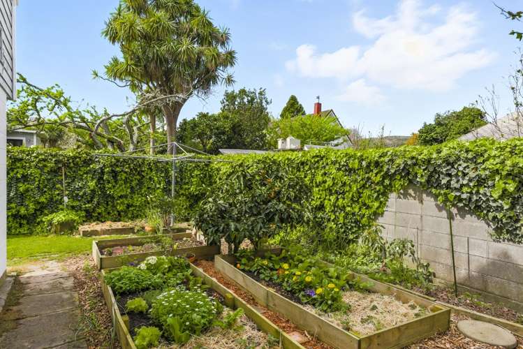 335 Te Moana Road Waikanae_28