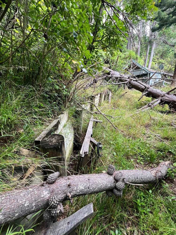 Ahitarakihi Bay Queen Charlotte Sound_14