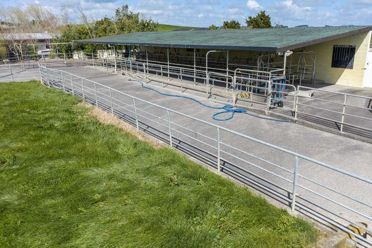 771a Koheroa Road Mangatawhiri_10