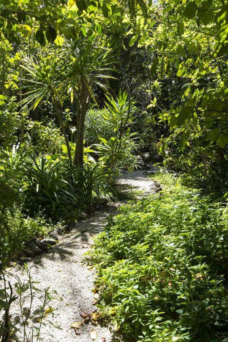 123 Point View Drive East Tamaki Heights_11