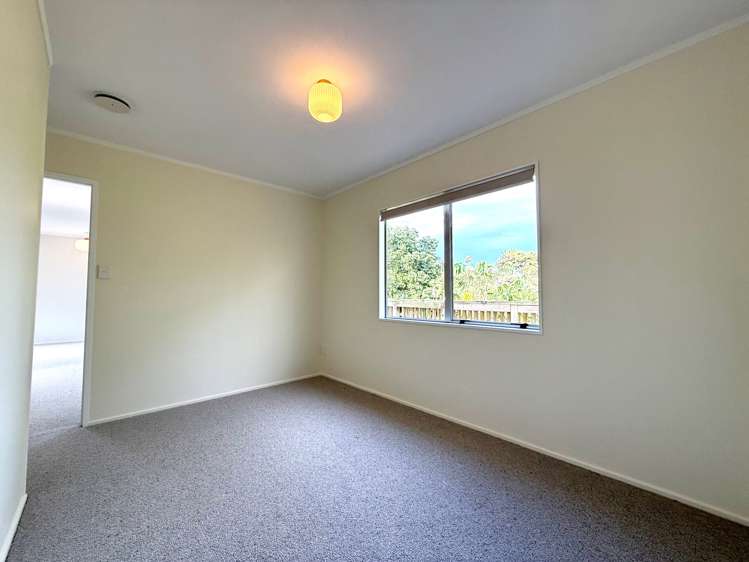 7B Rose Street Raglan_14