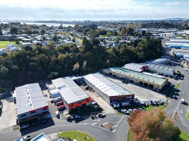 99 Birch Avenue Judea_3