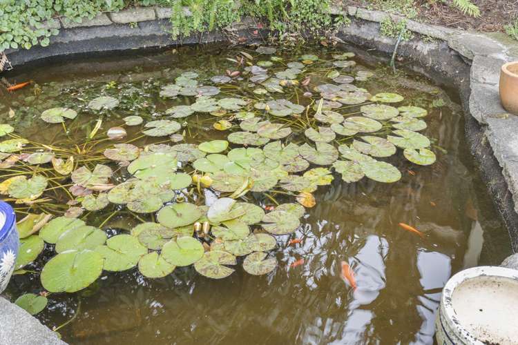 4 Pukekohatu Street Waitara_27