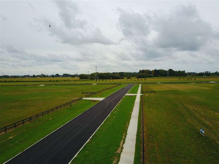 8 Margot Lane Matangi_6