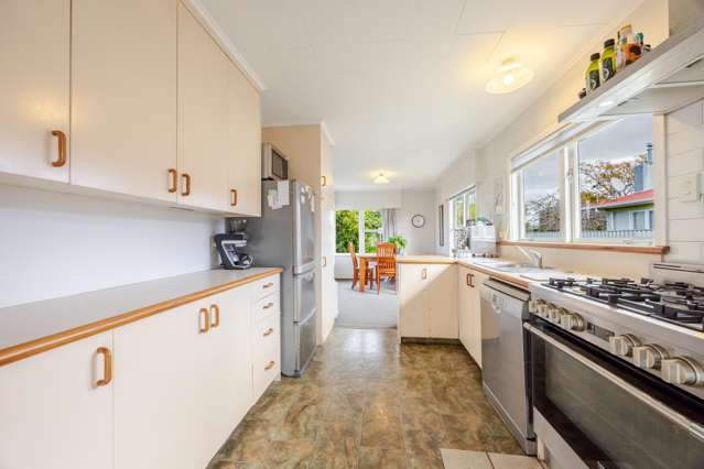 40 Southwark Avenue Tamatea_1
