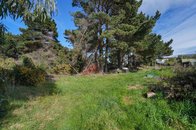 65 Suir Street Bluff_18