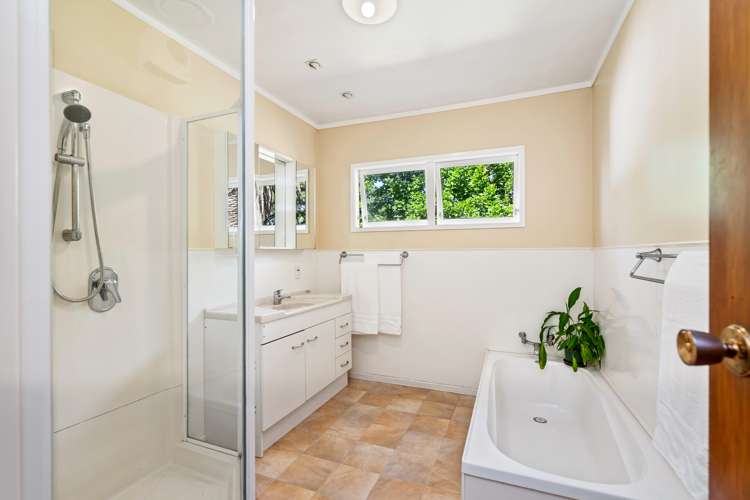 218 Springfield Road Mangapai and Surrounds_8