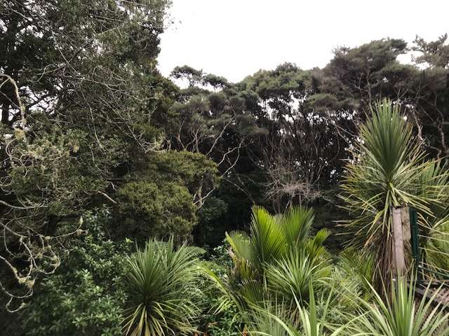 136b Birkenhead Avenue Birkenhead_3