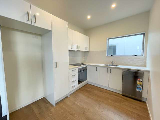 1/2 Hazel Avenue Mt Roskill_1