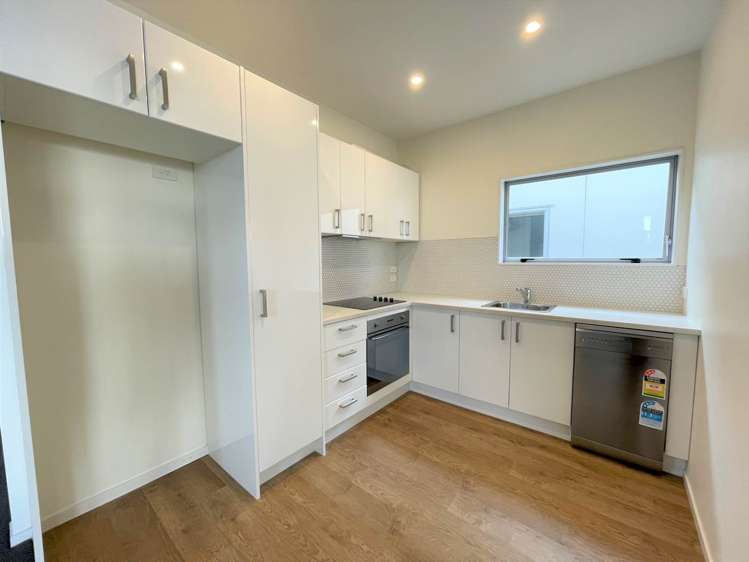 1/2 Hazel Avenue Mt Roskill_1