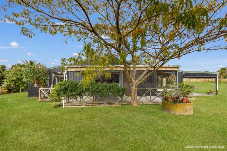 6 Nikau Place Edgecumbe_3