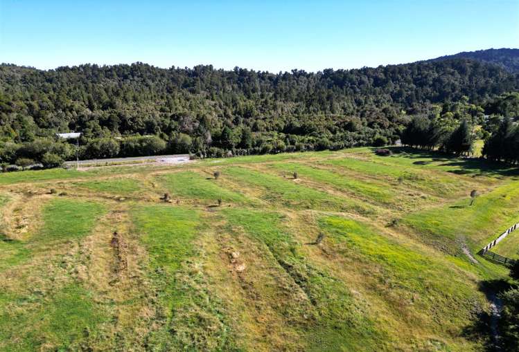 44 Maori Creek Road_5