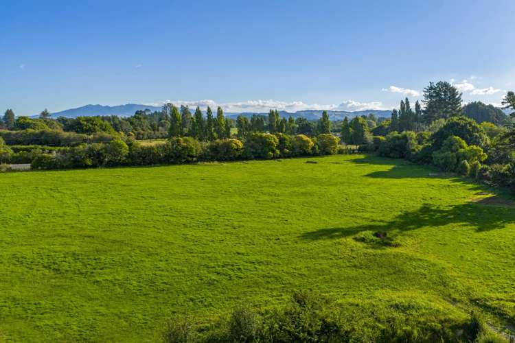 37B Mason Road Whatawhata_15