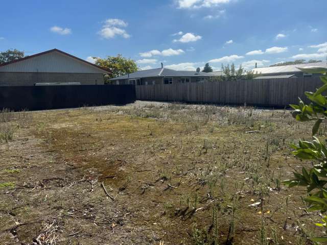 103A Grove Street Tinwald_1