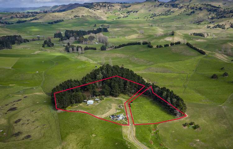 97 Waikareao Road Central Hawkes Bay Coastal_1