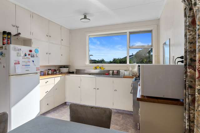 64 Hinemoa Street Levin_2