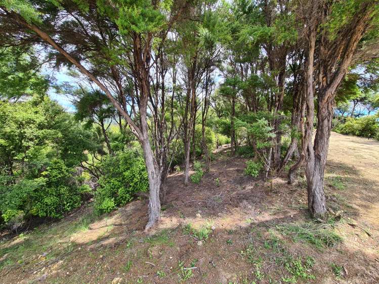 890 Tuateawa Road Waikawau_9