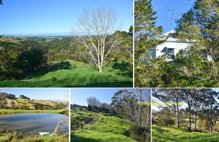 330 Franklin Road Paparoa_56