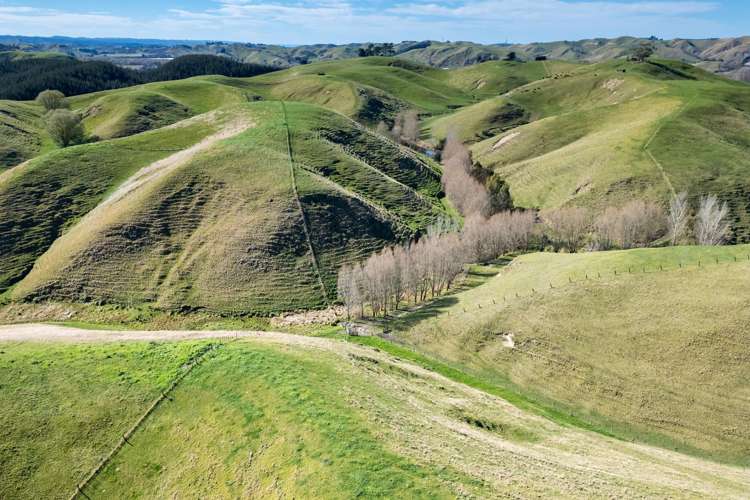 201 Breckenridge Road Puketapu_19
