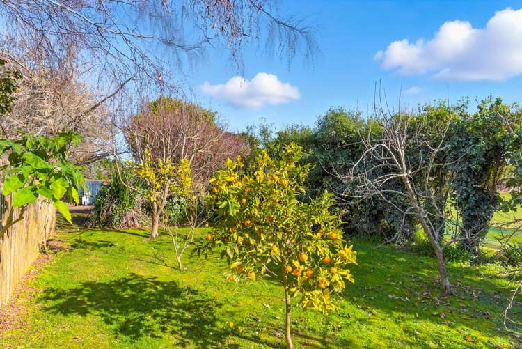 208 Kukutauaki Road Koputaroa_17