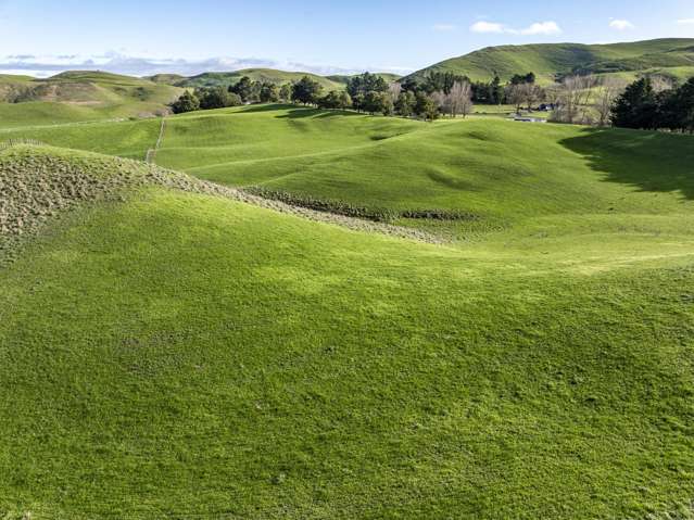 930 Te Aute Trust Road Poukawa_3