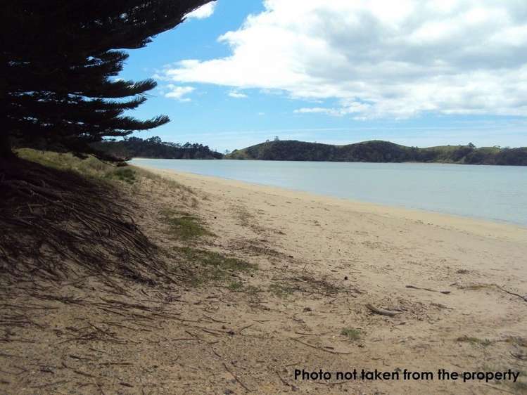 Hailes Road Whananaki_11