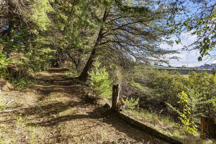 1380 Hibiscus Coast Highway Auckland - Rodney_22