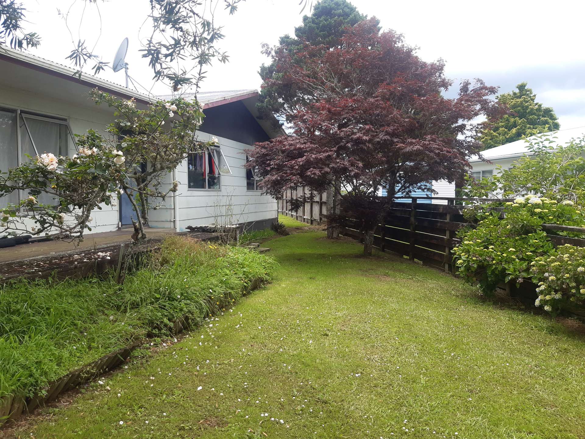 22 Penney Crescent Kaikohe_0