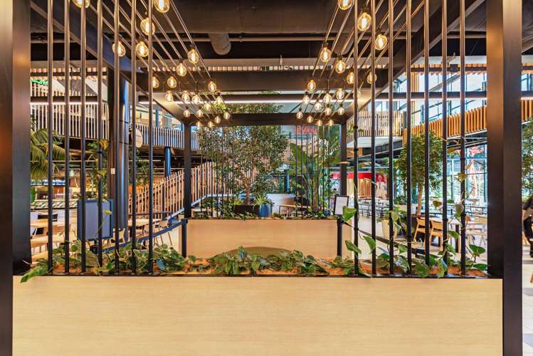 217 Te Ranga Memorial Drive Pyes Pa_6