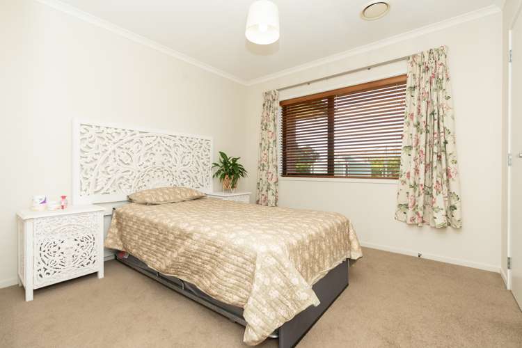 294 Piako Road Gordonton_29