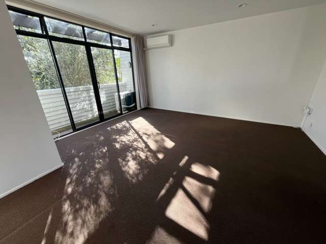11/50 Livingstone Street Grey Lynn_2