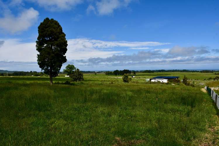 366 Oparara Loop Road Karamea_11