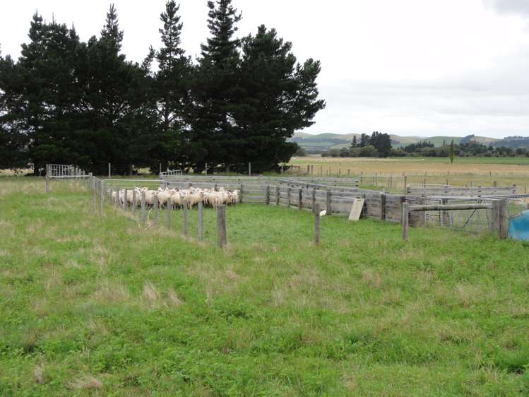 352 Horsley Down Road Hawarden_9