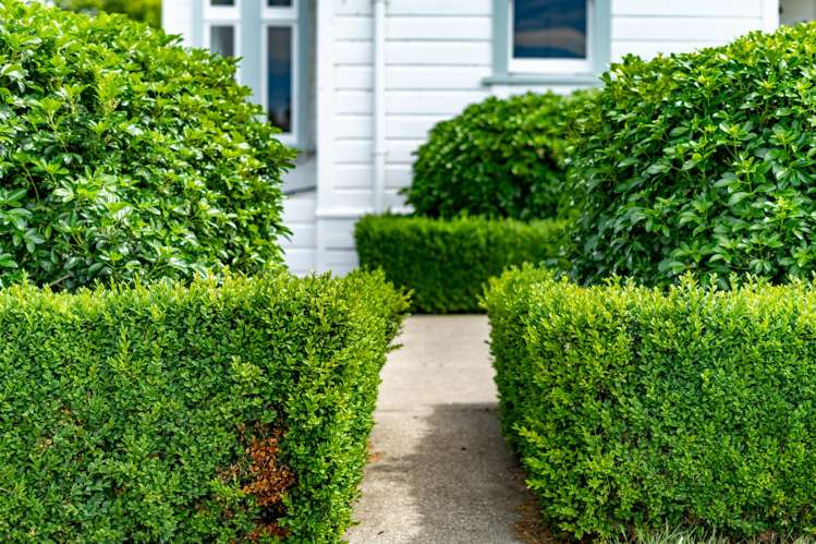 231 Masterton Castlepoint Road Te Ore Ore_33