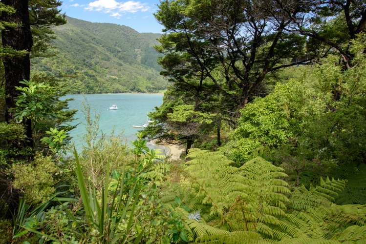 645 Port Underwood Road Whatamango Bay_13