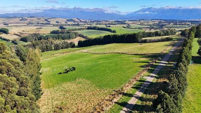 Up With the Sparrow Hawks