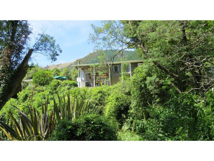 154 Wakamarina Road Havelock_13