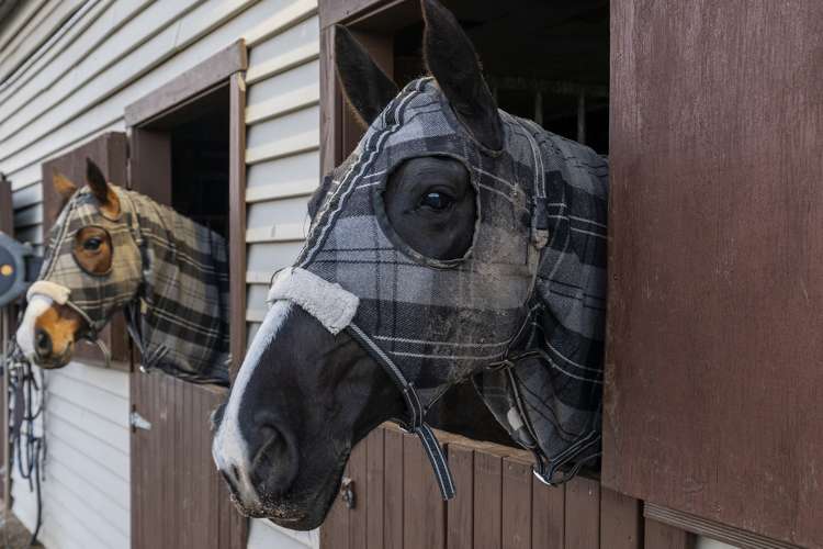 573 Burnham School Road Burnham_9