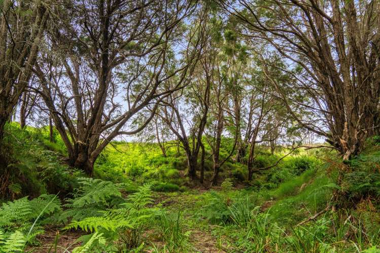 Lots 1-4 Proposed Subdivision, Goodwin Road Whataupoko_17