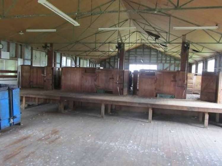 341 Hokonui School Road Winton Surrounds_8