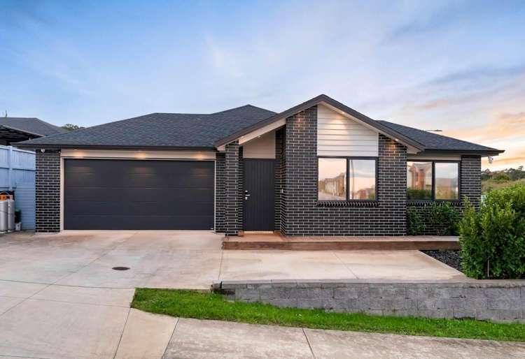 22 Kauri Gum Rise_0