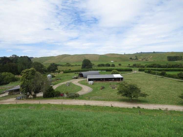 515 Matarawa Road Kinleith_9