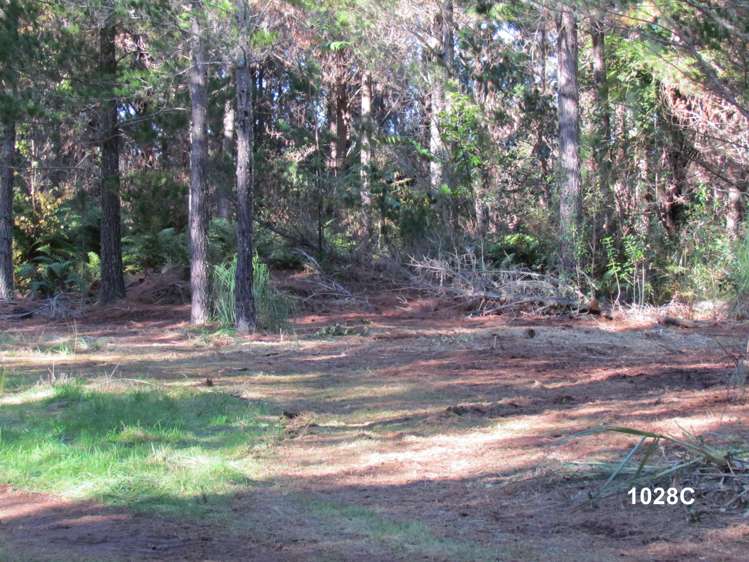 1028 A,B,C McIvor Road Rotoma_22