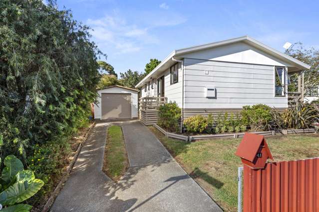 41 Hibiscus Avenue Hamilton Lake_1