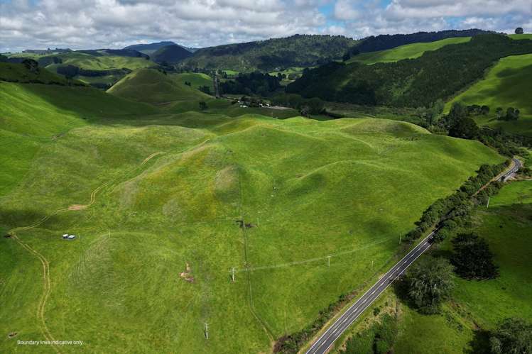 1911 Tutukau Road Wairakei and Surrounds_7