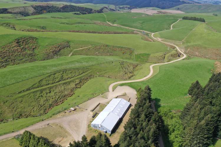 339 Rankleburn Road Pomahaka_16