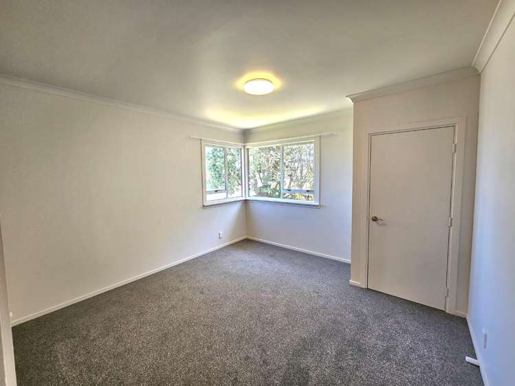 8 Hutchins Street 10858_9